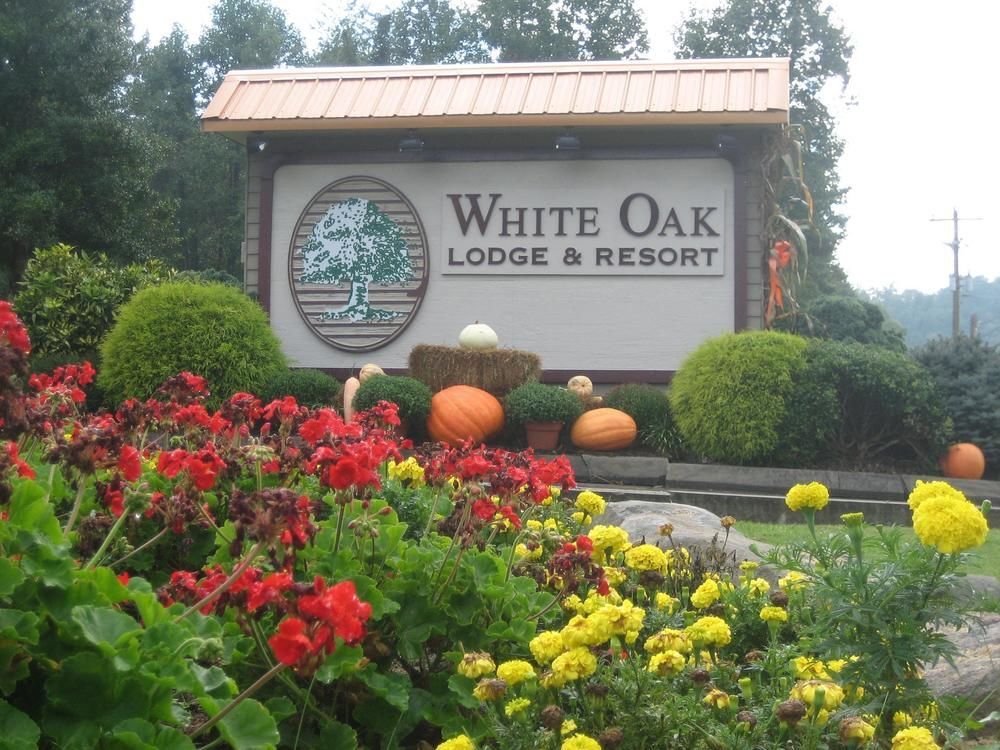 White Oak Lodge And Resort Pittman Center Exterior foto